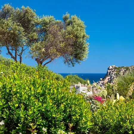 Lägenhet Casa Del Porto Santa Teresa Gallura